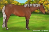 Horse Color:Silver Brown Sabino