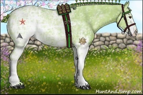 Horse Color:Watercolor White Spotted Chestnut Ice