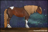 Horse Color:Gray Chestnut Sabino Tobiano