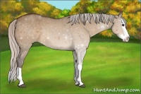 Horse Color:Silver Brown Dun Splash