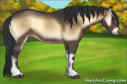 Horse Color:Brown Onyx