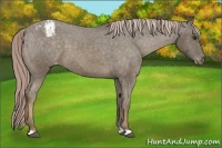 Horse Color:Chocolate Palomino Varnish 