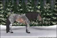 Horse Color:Brown Ice 