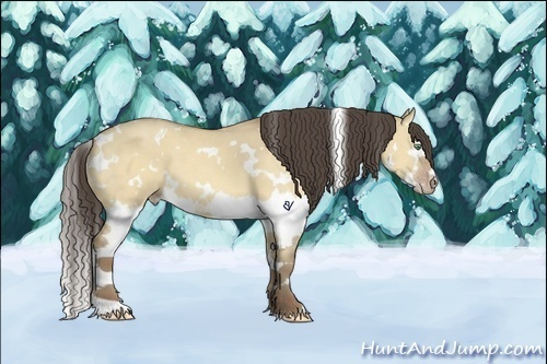 Horse Color:White Spotted Amber Cream Champagne Dun Splash 