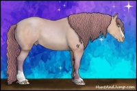 Horse Color:Watercolor Buckskin Pearl Sabino