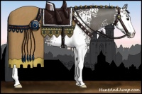 Horse Color:White Spotted Grullo