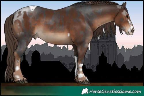 Horse Color:Brown Sabino Tobiano  and Liver Chestnut 