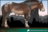 Horse Color:Brown Sabino Tobiano and Liver Chestnut