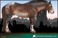 Horse Color:Brown Sabino Tobiano  and Liver Chestnut 
