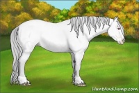Horse Color:Smoky Grullo Chinchilla Pearl Frame 