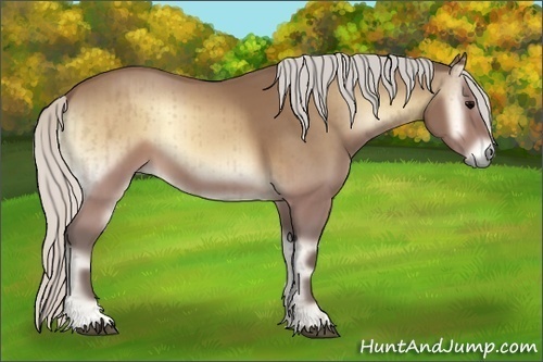 Horse Color:Silver Buckskin Onyx Rabicano Brindle