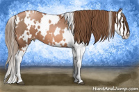 Horse Color:White Spotted Liver Chestnut Pearl Splash 