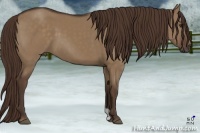 Horse Color:Liver Red Dun 