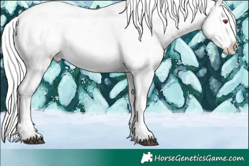 Horse Color:White Spotted Liver Chestnut Chinchilla Sabino Snowflake VarnishRabicano
