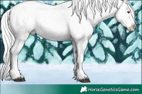 Horse Color:White Spotted Liver Chestnut Chinchilla Sabino Appaloosa Rabicano