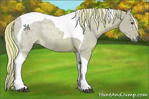 Horse Color:Watercolor Chestnut Ice Tobiano