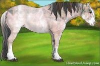Horse Color:Plaid White Spotted Bay Ice