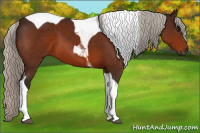 Horse Color:Gray Silver Bay Tobiano