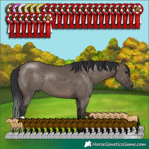 Horse Color:Brown Dun 