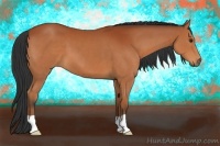 Horse Color:Brown 