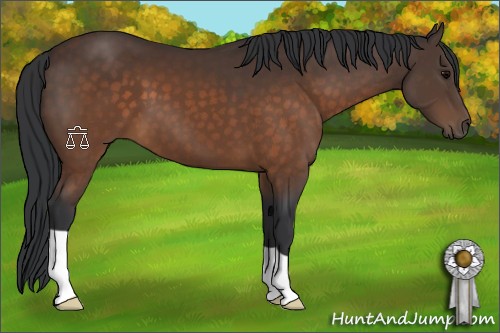 Horse Color:Brown 