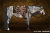 Horse Color:Brown Ice Dun