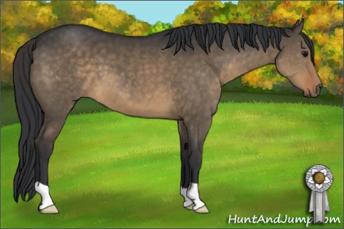 Horse Color:Brown Dun 