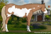 Horse Color:Chestnut Frame 