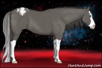 Horse Color:Grullo Splash Appaloosa 