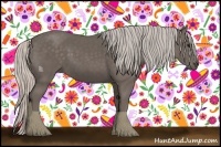 Horse Color:Silver Black 