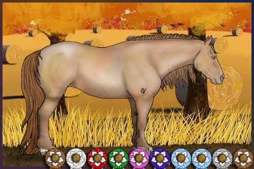 Horse Color:Bay Pearl