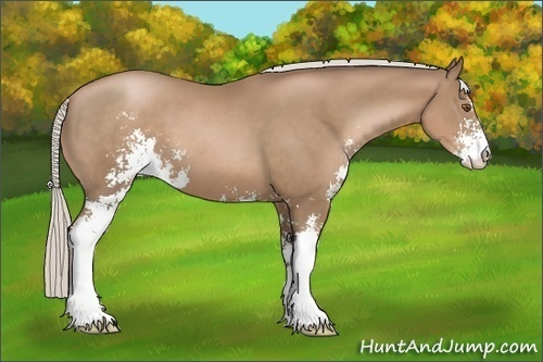 Horse Color:Silver Black Pearl Sabino