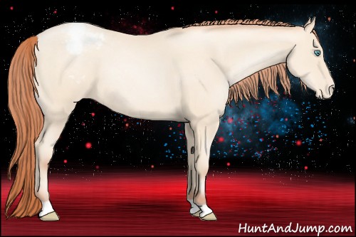 Horse Color:Sable Cream Champagne Pearl Appaloosa 