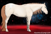 Horse Color:Sable Cream Champagne Pearl Varnish