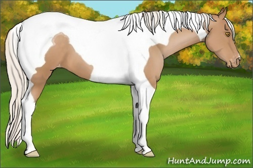 Horse Color:Silver Brown Pearl Tobiano Varnish 