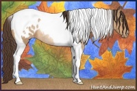 Horse Color:Amber Champagne Tobiano Blanket Rabicano 