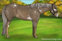 Horse Color:White Spotted Chocolate Palomino