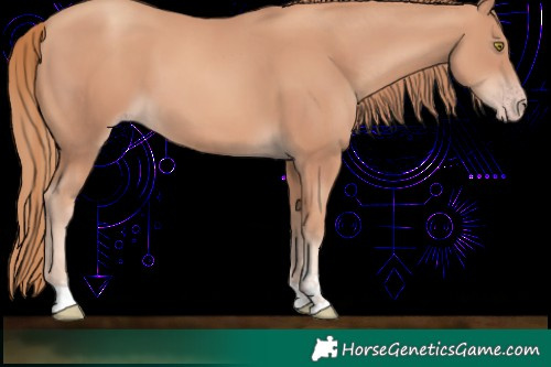 Horse Color:Gold Champagne Tobiano 