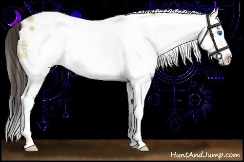 Horse Color:White Spotted Amber Cream Champagne Dun Splash Rabicano 