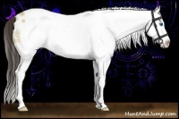 Horse Color:White Spotted Amber Cream Champagne Dun Splash Rabicano 
