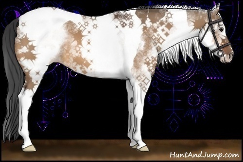 Horse Color:White Spotted Bay Dun Tobiano 