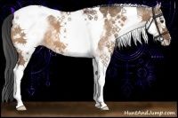 Horse Color:White Spotted Bay Dun Tobiano