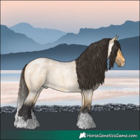 Horse Color:Buckskin Roan Dun Sabino 