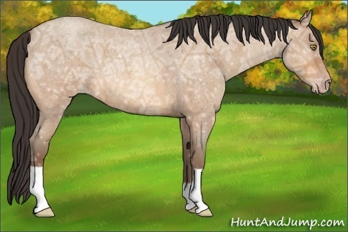 Horse Color:Amber Champagne Ice Roan 