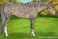Horse Color:Liver Chestnut Mushroom Snowflake Varnish