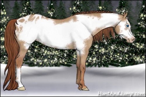 Horse Color:Red Dun Frame Blanket Rabicano