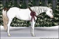 Horse Color:White Spotted Chestnut Pearl Splash Frame Appaloosa Rabicano