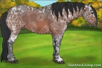 Horse Color:Brown Ice 