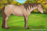 Horse Color:Brown Pearl 