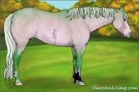 Horse Color:Watercolor Silver Brown Chinchilla Ice Sabino 